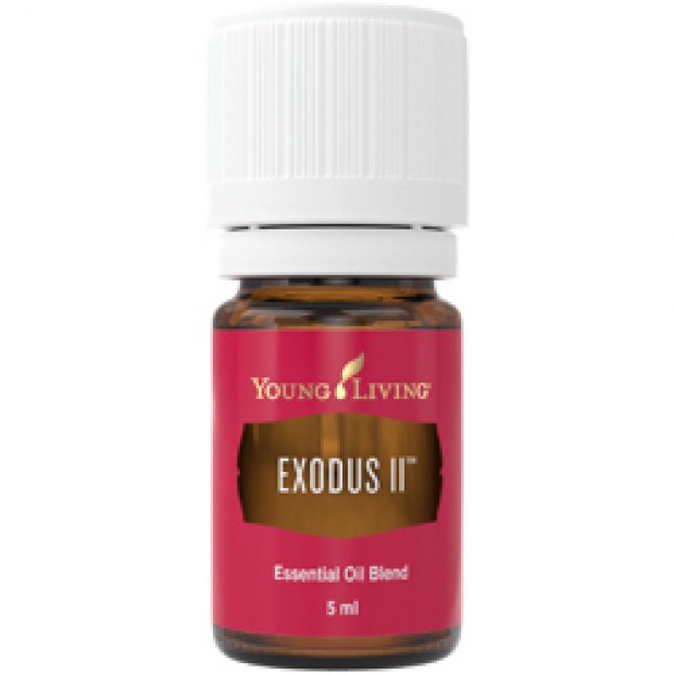 Exodus II